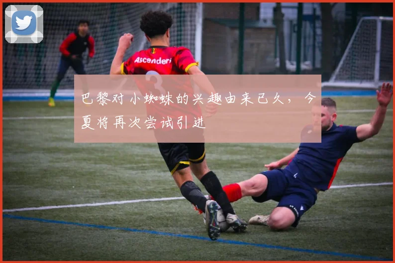 巴黎对小蜘蛛的兴趣由来已久，今夏将再次尝试引进